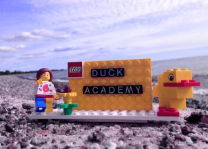 duck-academy